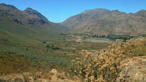 Südafrika763.jpg