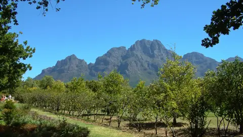 Südafrika811.jpg