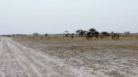 h2e10664.jpg