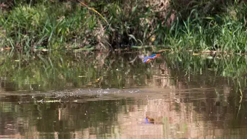 hd741328.jpg