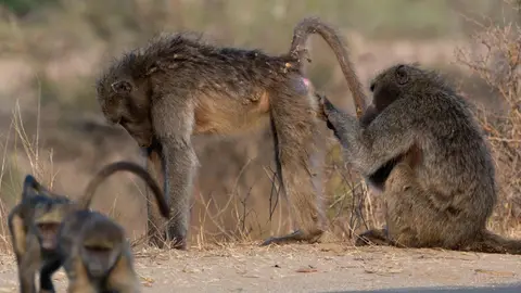 he417f76.jpg