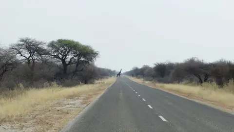 hf6876ef.jpg