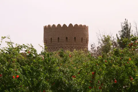 IMG_8394.JPG
