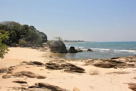 Sunga-Z-Impr.jpg