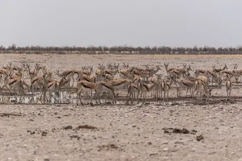 _DSC8049.jpg