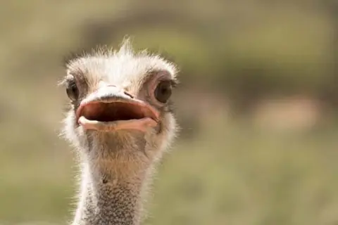 Namibia2019(20).jpg