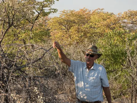 k-Namibia2019(276).jpg