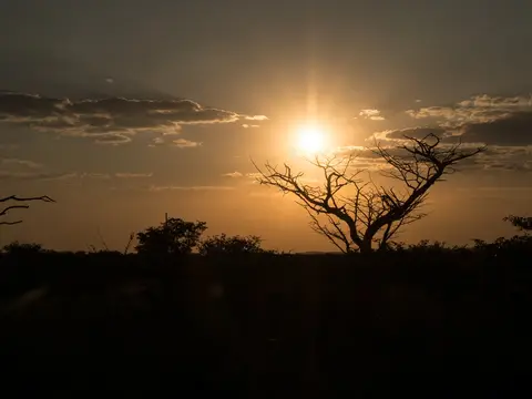 k-Namibia2019(277).jpg
