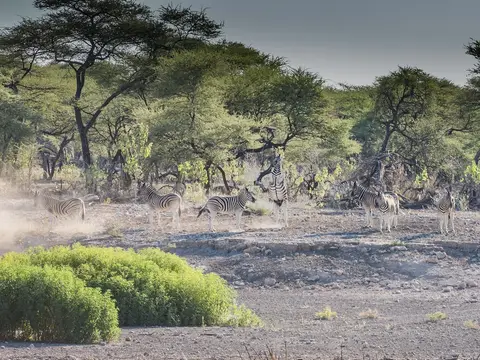 k-Namibia2019(350).jpg