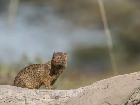 k-Namibia2019(355).jpg
