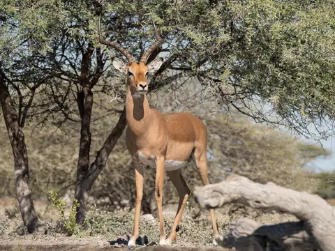 k-Namibia2019(356).jpg