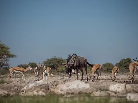 k-Namibia2019(360).jpg
