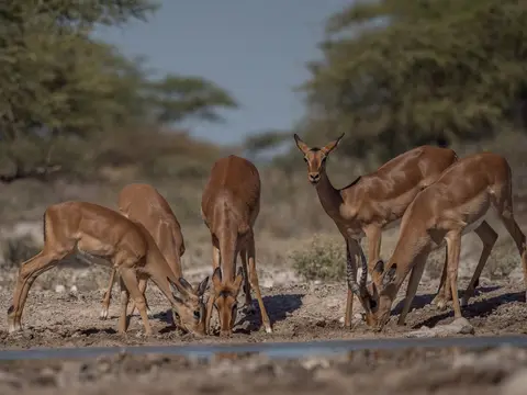 k-Namibia2019(364).jpg