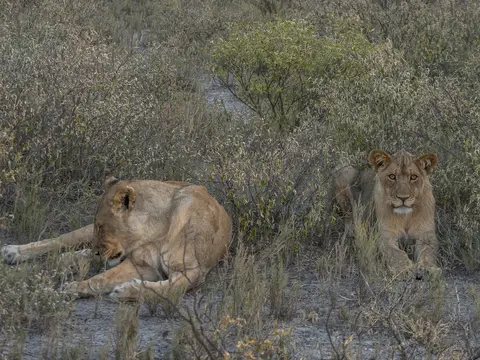 k-Namibia2019(372).jpg