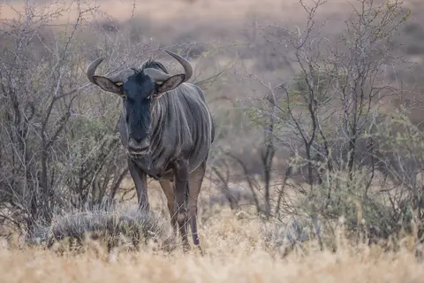 k-Namibia2019(40).jpg