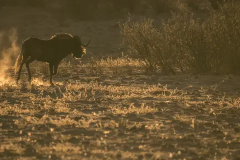 k-Namibia2019(46).jpg