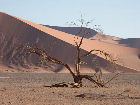 k-Namibia2019(63).jpg