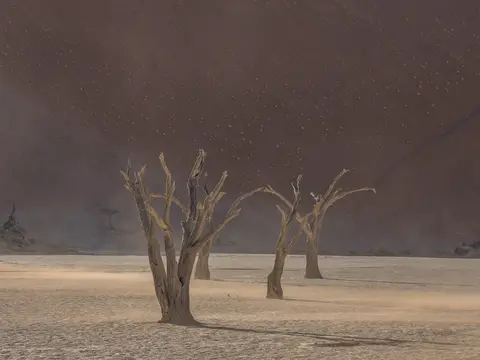 k-Namibia2019(73).jpg