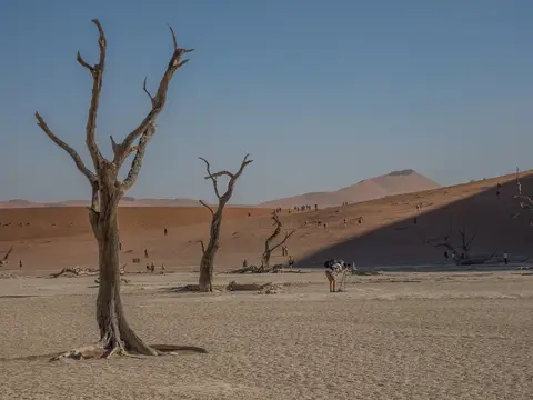 k-Namibia2019(74).jpg