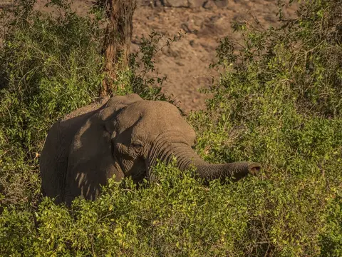 k-NamibiaimFrühjahr2019(440).jpg
