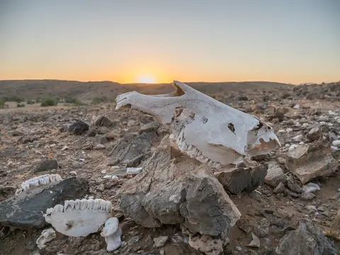 k-NamibiaimFrühjahr2019(447).jpg