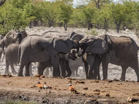k-NamibiaimFrühjahr2019(521).jpg