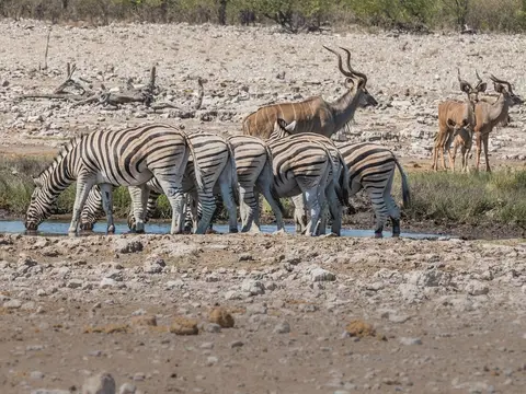 k-NamibiaimFrühjahr2019(525).jpg