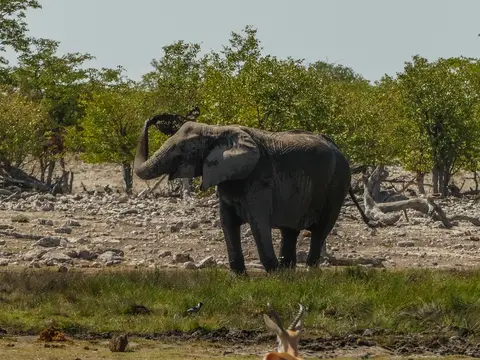 k-NamibiaimFrühjahr2019(527).jpg