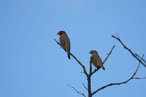 0481.JPG