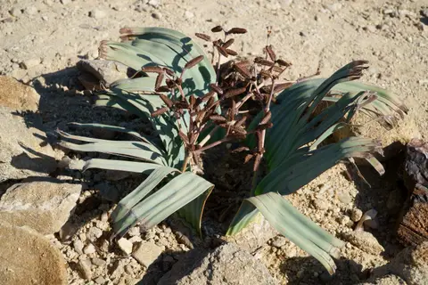 0504.JPG