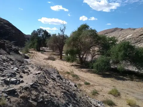117KuisebPass.jpg