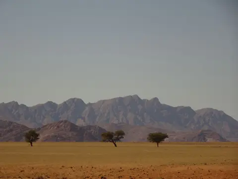 127Namib.JPG