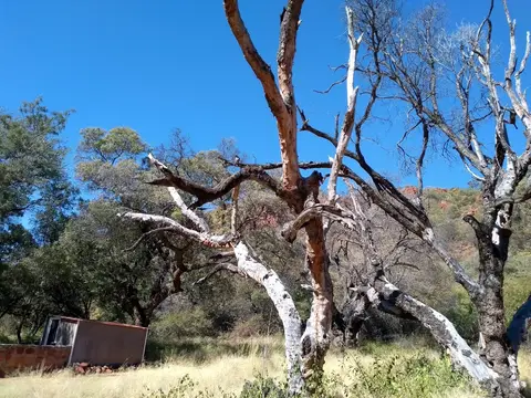 22WaterbergWildernessLodge.jpg