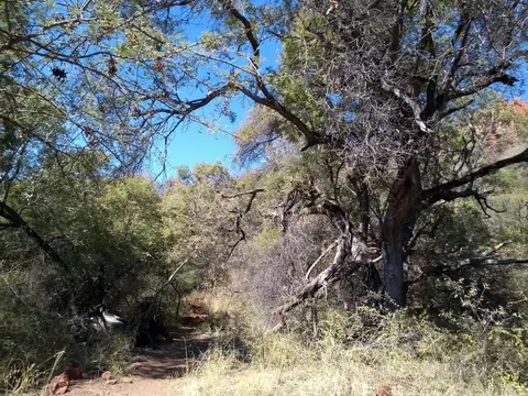 23WaterbergWildernessLodge.jpg