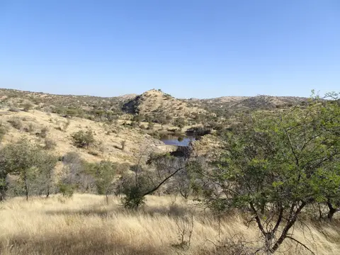 8DaanViljoen.JPG