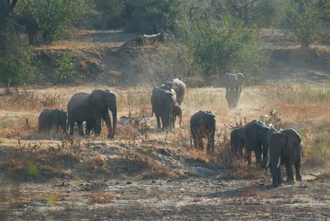 MapungubweNP-KalahariCalling-2-3.jpg