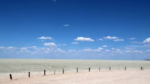 Pan.jpg