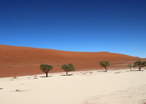 Sossulvlei_gruen.jpg