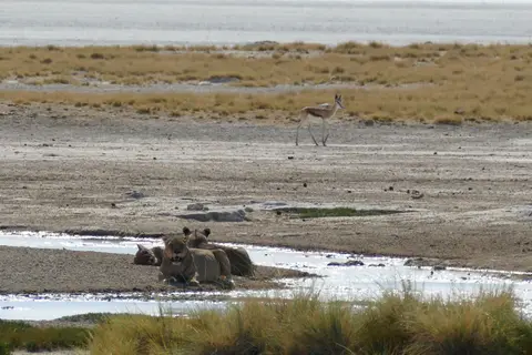Namibia2018_1790.JPG