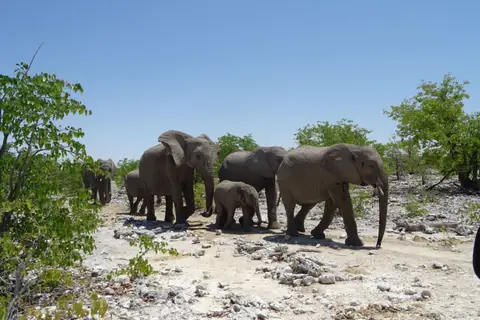 Namibia2018_1810.JPG