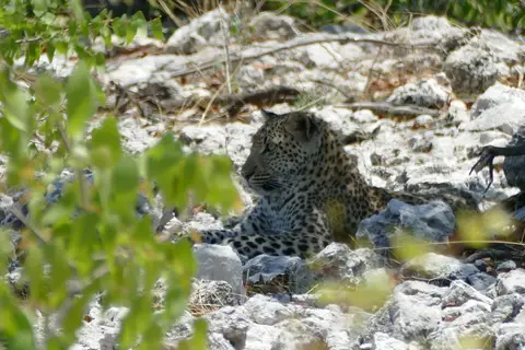 Namibia2018_1811.JPG