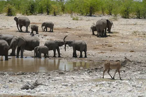 Namibia2018_1823.JPG
