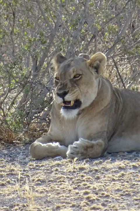 Namibia2018_1878.JPG