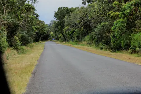 540.JPG