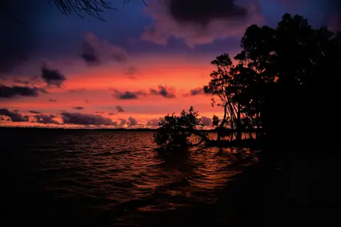 564-2.JPG