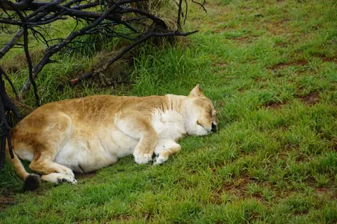 DSC07604.JPG