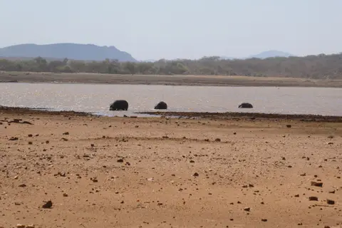 P1030026.JPG