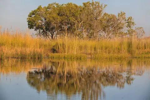 Botswana_Drotzkys_060.jpg