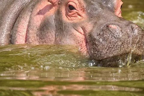 Botswana_Drotzkys_076.jpg