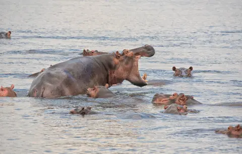 Botswana_Drotzkys_109.jpg